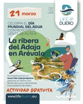 Ruta La Ribera del Adaja en Arévalo