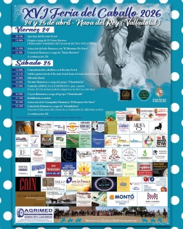 Feria del Caballo en Nava del Rey