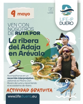 Ruta por la Ribera del Adaja en Arévalo
