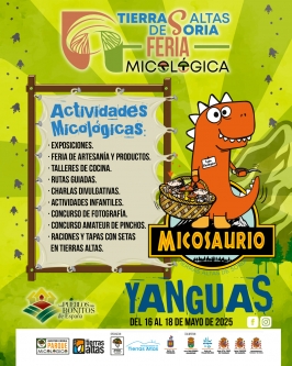 Feria Micológica en Yanguas