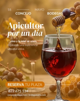 "Apicultor por un día" en Valoria la Buena 