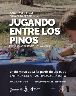 Jugando entre los pinos