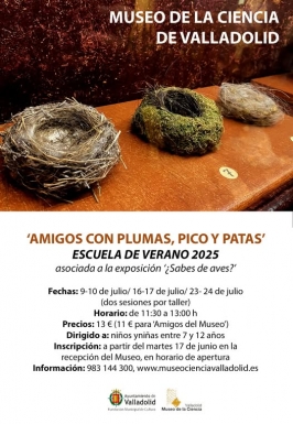 Talleres "Escuela de Verano "Amigos con plumas, pico y patas"