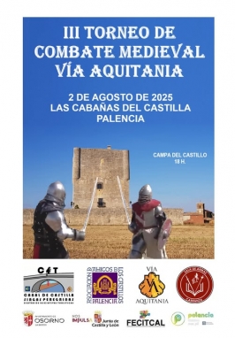 Torneo de Combate Medieval en Las Cabañas del Castilla