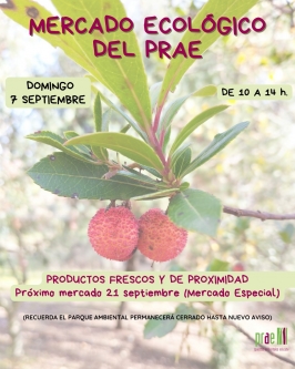 Mercado Ecológico en el PRAE