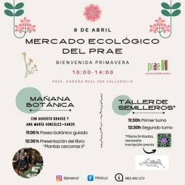 "Mercado ecológico especial" en el PRAE