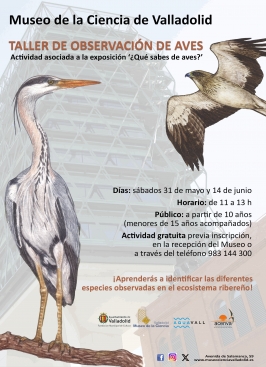 Taller de observación de aves en el Museo de la Ciencia
