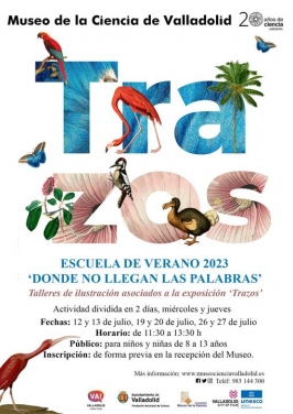 Escuela de Verano: "Donde no llegan las palabras"