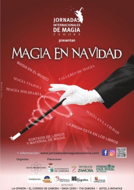 Magia en Navidad en Zamora