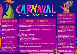 Carnaval 2026 en Nava del Rey