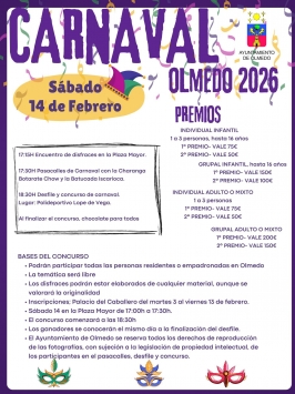 Carnaval en Olmedo