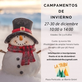 Campamentos de Invierno 