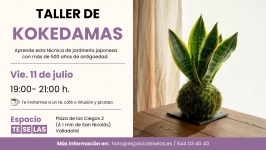 Taller de kokedamas