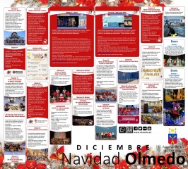 Navidad en Olmedo