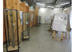 Aula de Medio Ambiente Caja de Burgos 