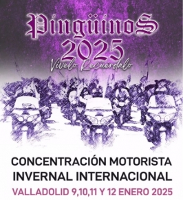 Pingüinos Valladolid