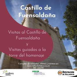 Visitas al Castillo de Fuensaldaña y Visitas guiadas a la Torre del Homenaje.