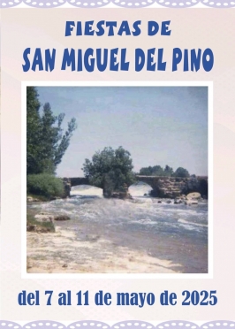 Fiestas en San Miguel del Pino