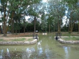 Turismo familiar: El Canal de Castilla en Medina de Rioseco (Valladolid)