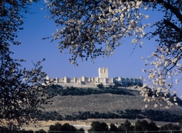 Museo Provincial del Vino 