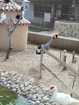 La Era de las Aves. Parque Zoológico