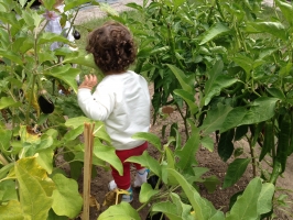 Mi Huerto Centro Infantil (0 a 3 años)