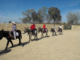 Centro de Interpretación de la Naturaleza Matallana. Villalba de los Alcores (Valladolid)