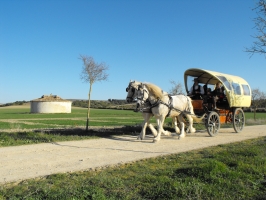 Centro de Interpretación de la Naturaleza Matallana. Villalba de los Alcores (Valladolid)