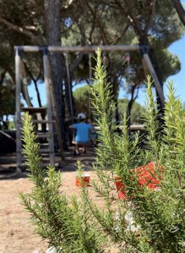 Taller veraniego en la ciudad "El Puente Azul"