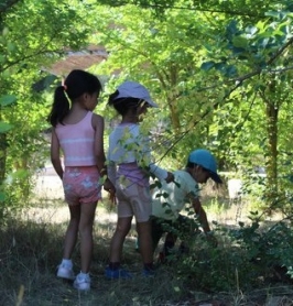 Taller veraniego en la ciudad "El Puente Azul"