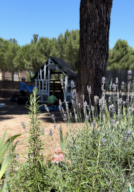 Taller veraniego en la ciudad "El Puente Azul"