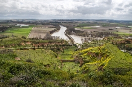 Ruta del Vino de Toro