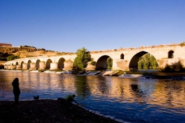 Ruta del Vino de Toro - Puente de Piedra