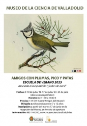 Escuela de Verano "Amigos con plumas, pico y patas" en el Museo de la Ciencia