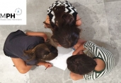 Talleres de Verano en el Museo Patio Herreriano