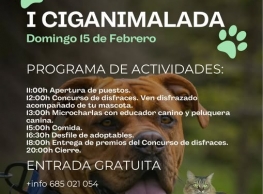 Ciganimalada en Cigales