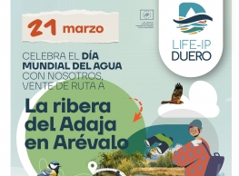 Ruta La Ribera del Adaja en Arévalo