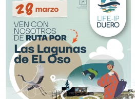Ruta por las Lagunas de El Oso en Ávila Ruta por las Lagunas de El Oso en Ávila