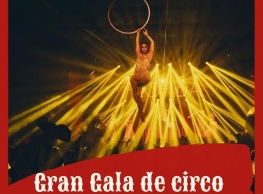 Gran Gala de Circo en  CircOlmedo