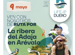Ruta por la Ribera del Adaja en Arévalo