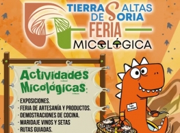 Feria Micológica en Villar del Río