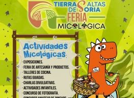 Feria Micológica en Yanguas