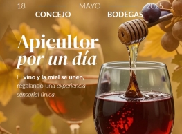 "Apicultor por un día" en Valoria la Buena 