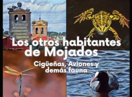 Ecoturismo en Mojados