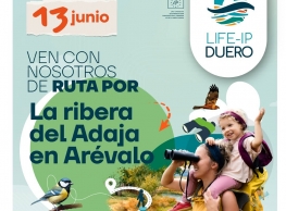 Ruta por la Ribera del Adaja en Arévalo