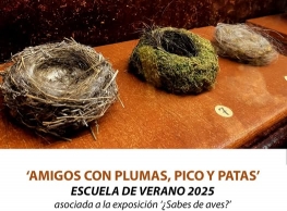Talleres "Escuela de Verano "Amigos con plumas, pico y patas"