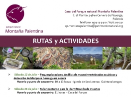 "Rutas y actividades" en Cervera de Pisuerga