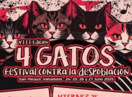 Festival 4 Gatos en San Pelayo