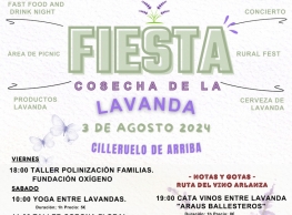 Fiesta Cosecha de la Lavanda en Cilleruelo de Arriba