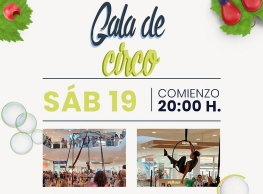 "Gala de Circo La Luz de las Delicias" en Vallsur